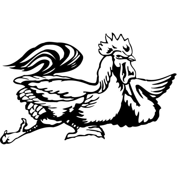 CHICK010 Thumbnail