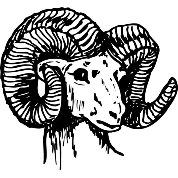 RAM003 Thumbnail